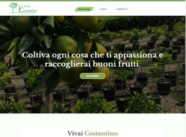 vivai-costantino-website.jpg