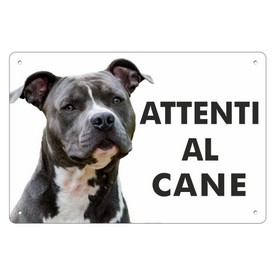 amstaff grigio cartello ATTENTI AL CANE.jpg